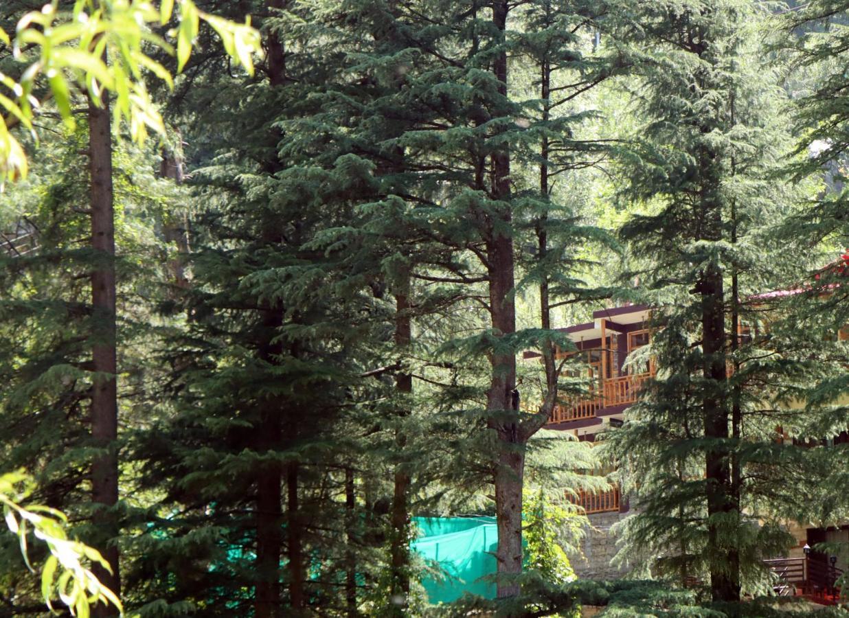 The Himalayan Heaven Apartment Jibhi Exterior foto